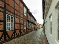 Ribe